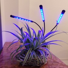 Kit lâmpadas led para plantas